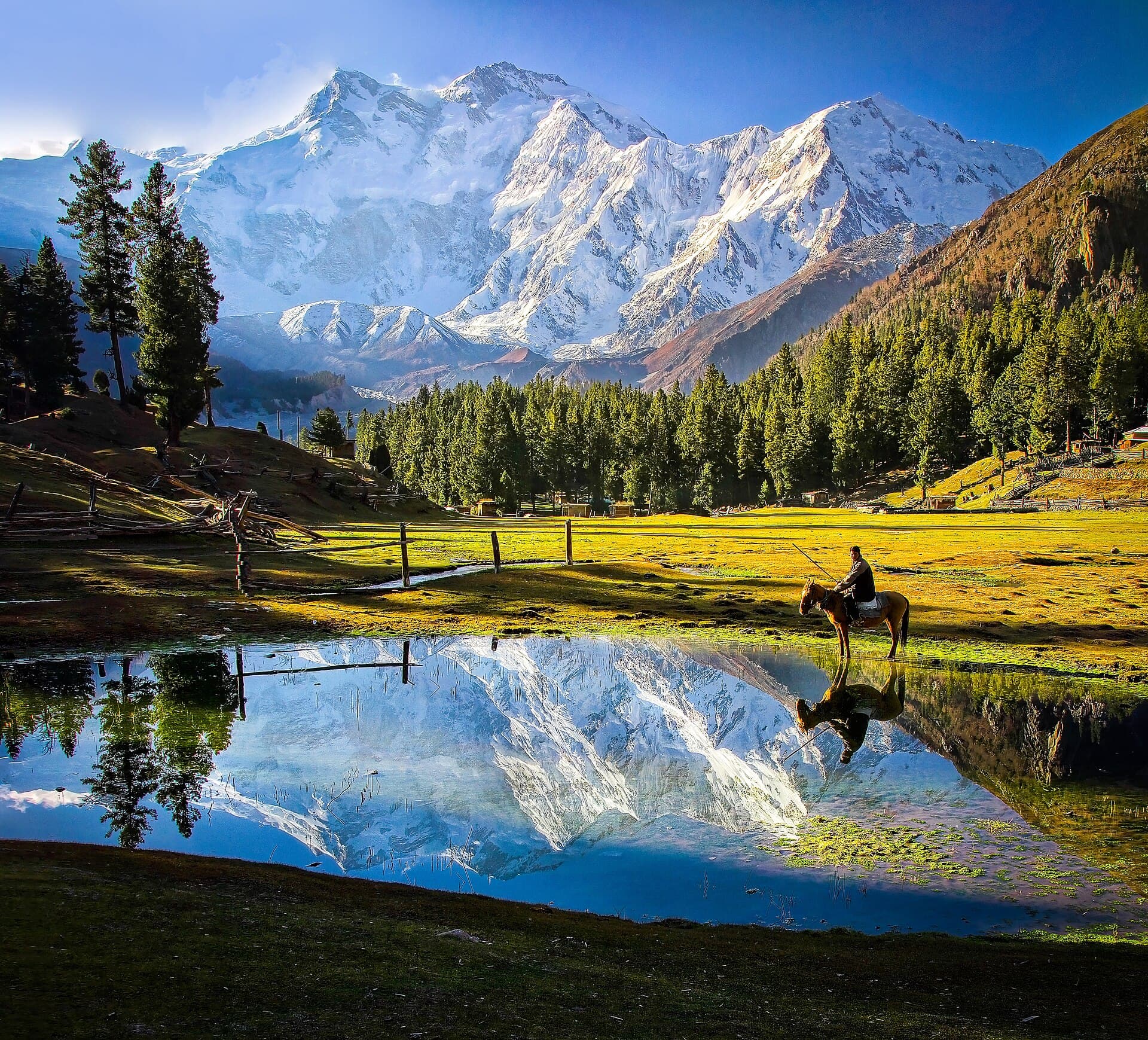 05 Days Fairy Meadows & Nanga Parbat Base Camp - photo 2